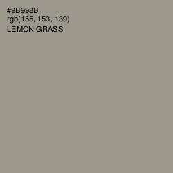 #9B998B - Lemon Grass Color Image