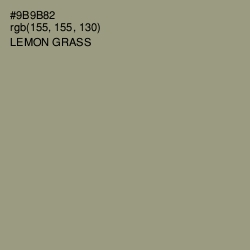#9B9B82 - Lemon Grass Color Image