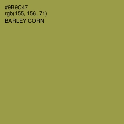 #9B9C47 - Barley Corn Color Image