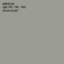 #9B9C92 - Star Dust Color Image