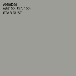 #9B9D96 - Star Dust Color Image