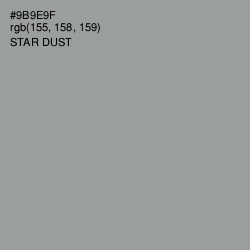 #9B9E9F - Star Dust Color Image