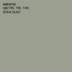 #9B9F90 - Star Dust Color Image