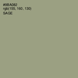 #9BA082 - Sage Color Image