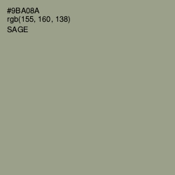 #9BA08A - Sage Color Image