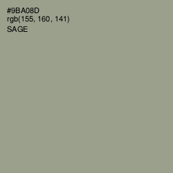 #9BA08D - Sage Color Image