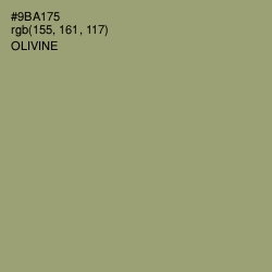 #9BA175 - Olivine Color Image