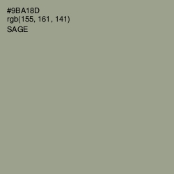 #9BA18D - Sage Color Image