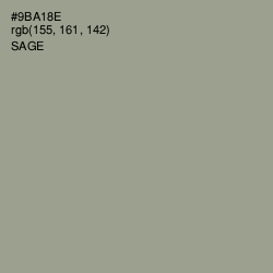 #9BA18E - Sage Color Image