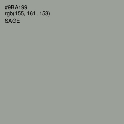 #9BA199 - Sage Color Image