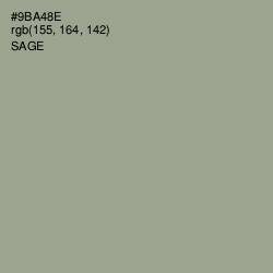 #9BA48E - Sage Color Image