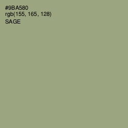 #9BA580 - Sage Color Image