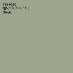 #9BA58C - Sage Color Image