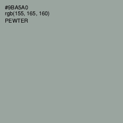 #9BA5A0 - Pewter Color Image