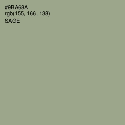 #9BA68A - Sage Color Image
