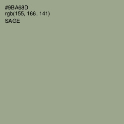 #9BA68D - Sage Color Image