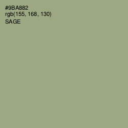 #9BA882 - Sage Color Image