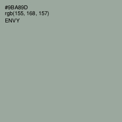 #9BA89D - Envy Color Image