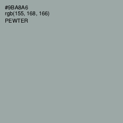 #9BA8A6 - Pewter Color Image