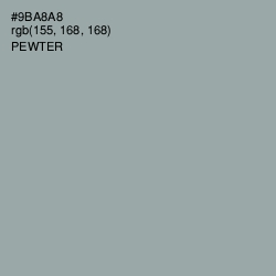 #9BA8A8 - Pewter Color Image