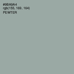 #9BA9A4 - Pewter Color Image