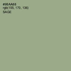 #9BAA88 - Sage Color Image