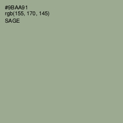 #9BAA91 - Sage Color Image