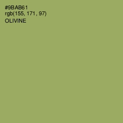 #9BAB61 - Olivine Color Image