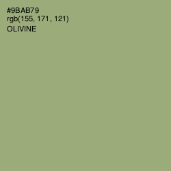 #9BAB79 - Olivine Color Image