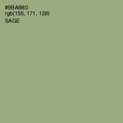 #9BAB80 - Sage Color Image