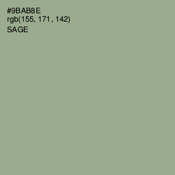 #9BAB8E - Sage Color Image