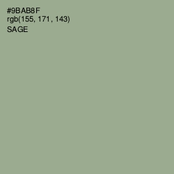 #9BAB8F - Sage Color Image