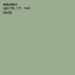 #9BAB90 - Sage Color Image