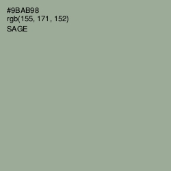 #9BAB98 - Sage Color Image