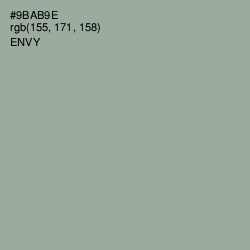 #9BAB9E - Envy Color Image