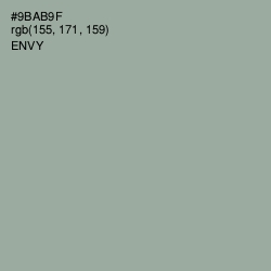 #9BAB9F - Envy Color Image