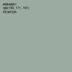 #9BABA1 - Pewter Color Image