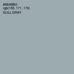 #9BABB0 - Gull Gray Color Image