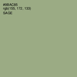 #9BAC85 - Sage Color Image