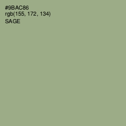 #9BAC86 - Sage Color Image