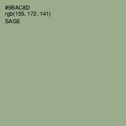 #9BAC8D - Sage Color Image