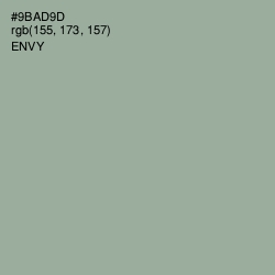 #9BAD9D - Envy Color Image