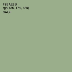 #9BAE8B - Sage Color Image