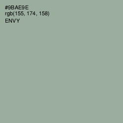 #9BAE9E - Envy Color Image