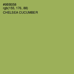 #9BB058 - Chelsea Cucumber Color Image