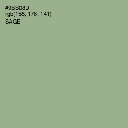 #9BB08D - Sage Color Image