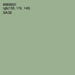 #9BB091 - Sage Color Image