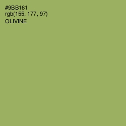 #9BB161 - Olivine Color Image