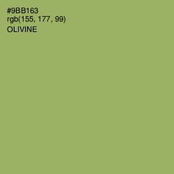 #9BB163 - Olivine Color Image