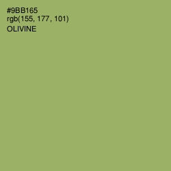 #9BB165 - Olivine Color Image